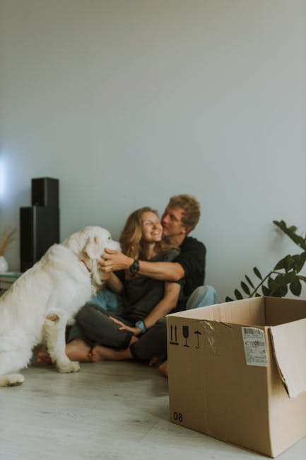 A man and woman sitting on the floor inside a home during a house removal process, with cardboard boxes and packing materials visible in the foreground. The woman is smiling and holding a white retriever dog, which is sitting beside her, facing slightly to the left. The man is embracing her with one arm around her shoulders, both appearing relaxed and happy. The background features a light-colored wall, a tall black speaker, and a potted plant with large green leaves, indicating an indoor environment prepared for relocation. This scene captures the emotional moment of packing and moving, with focus on the subtle aspects of furniture transport and handling during home relocation, supported by Man with Van Colyers as part of their removals service.
