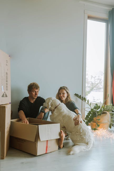 A couple sits on the floor inside a well-lit room with a large window, surrounded by packing materials including an open cardboard box and a partially visible large cardboard box on the left. The man has curly hair and wears a black shirt, while the woman has long hair and wears a dark top. They are smiling and engaging with a large, white, fluffy dog sitting between them, with the dog’s head near the woman’s hand as she pets it. The room features a wooden floor, a potted plant with broad green leaves placed on the right side near the window, and sheer curtains with a light, airy appearance hanging from the window. The scene depicts a home relocation process involving packing and moving preparations, with the focus on loading or organizing belongings during a house move, captured in natural light from the window. Man with Van Colyers provides professional removals services for such moving and packing tasks.