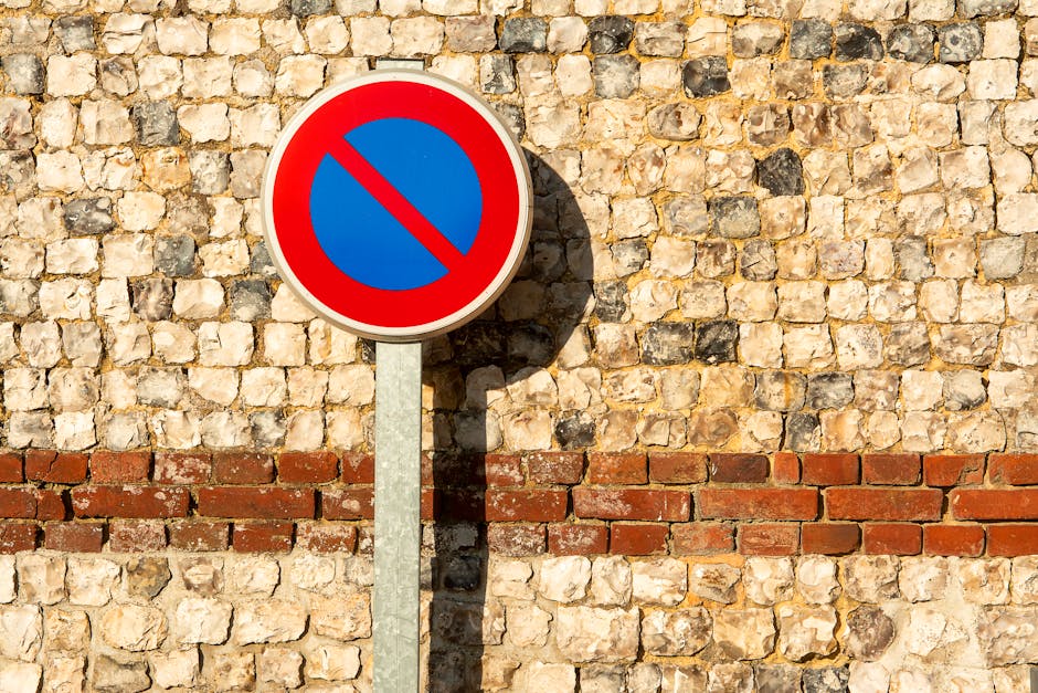 A round no parking traffic sign with a red border, blue background, and a red diagonal line across the center is mounted on a metal pole positioned against a textured brick and stone wall. The sign ca